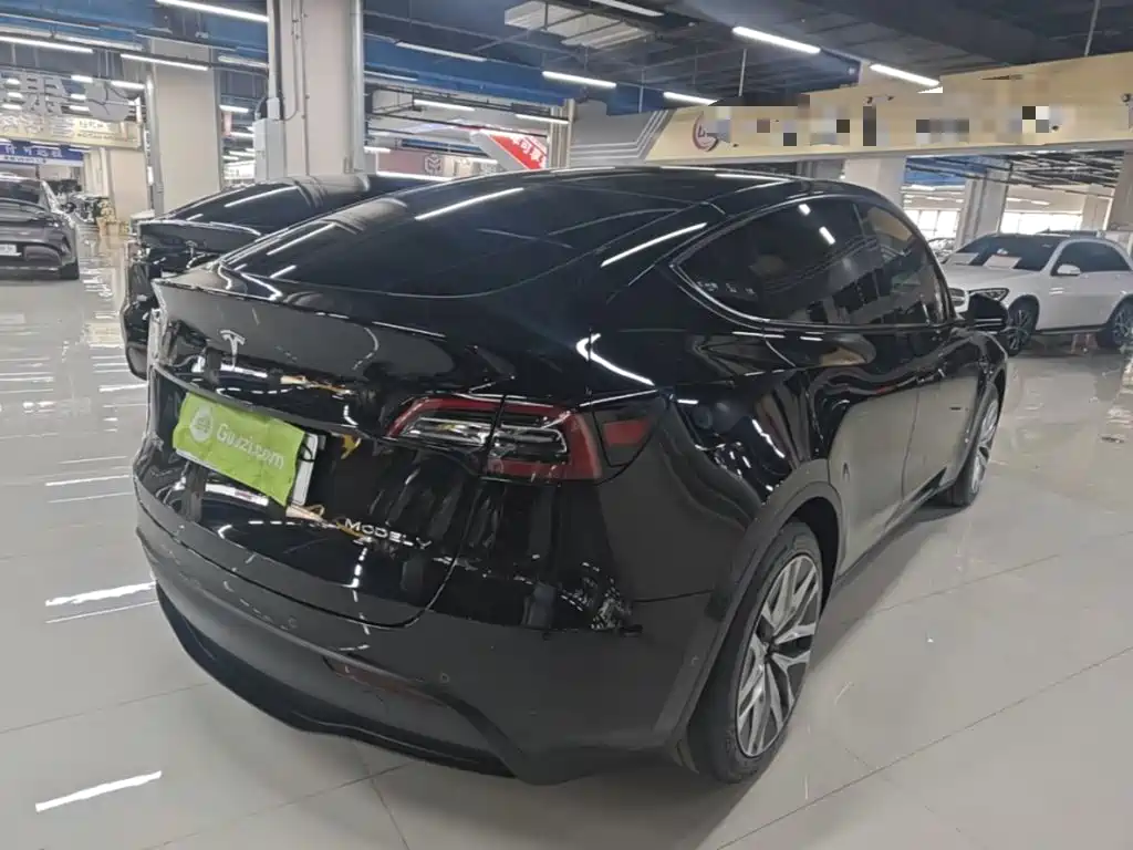 Tesla Model Y — миниатюра 7