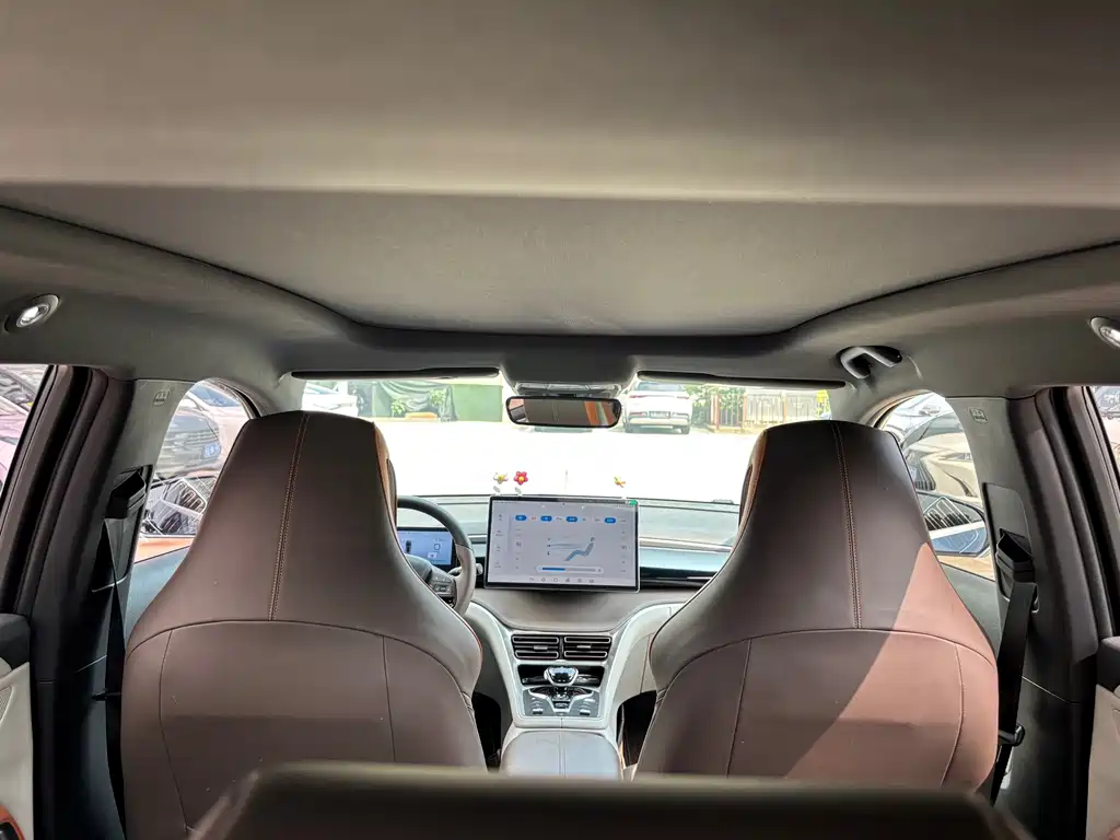 BYD Pro New Energy — миниатюра 8