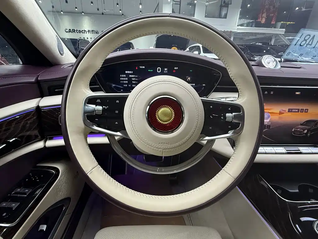 Hongqi Hongqi Golden Sunflower Guoya — миниатюра 15