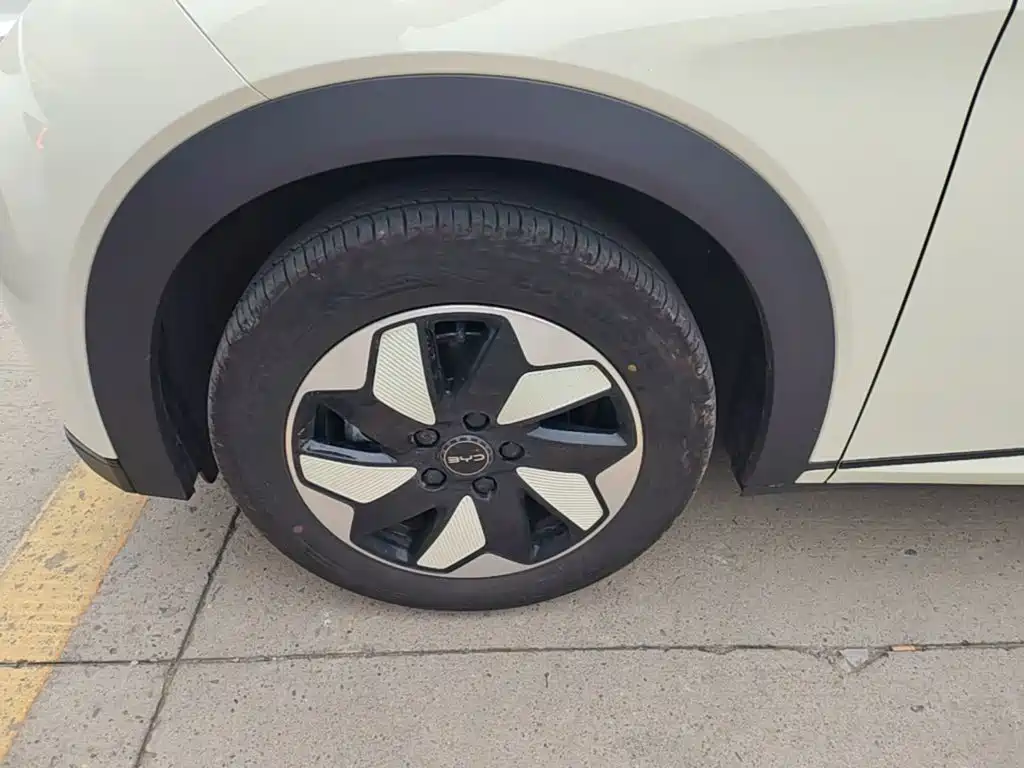 BYD Dolphin — миниатюра 23