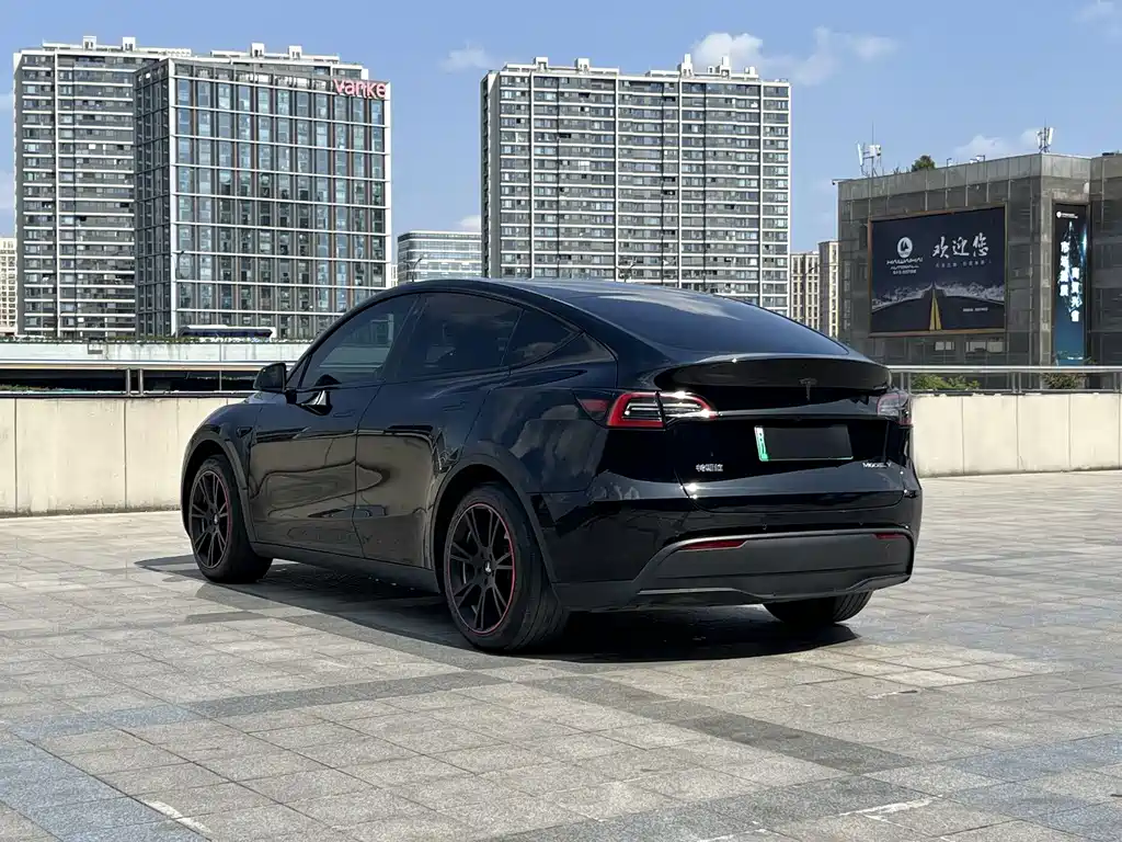 Tesla Model Y — миниатюра 13