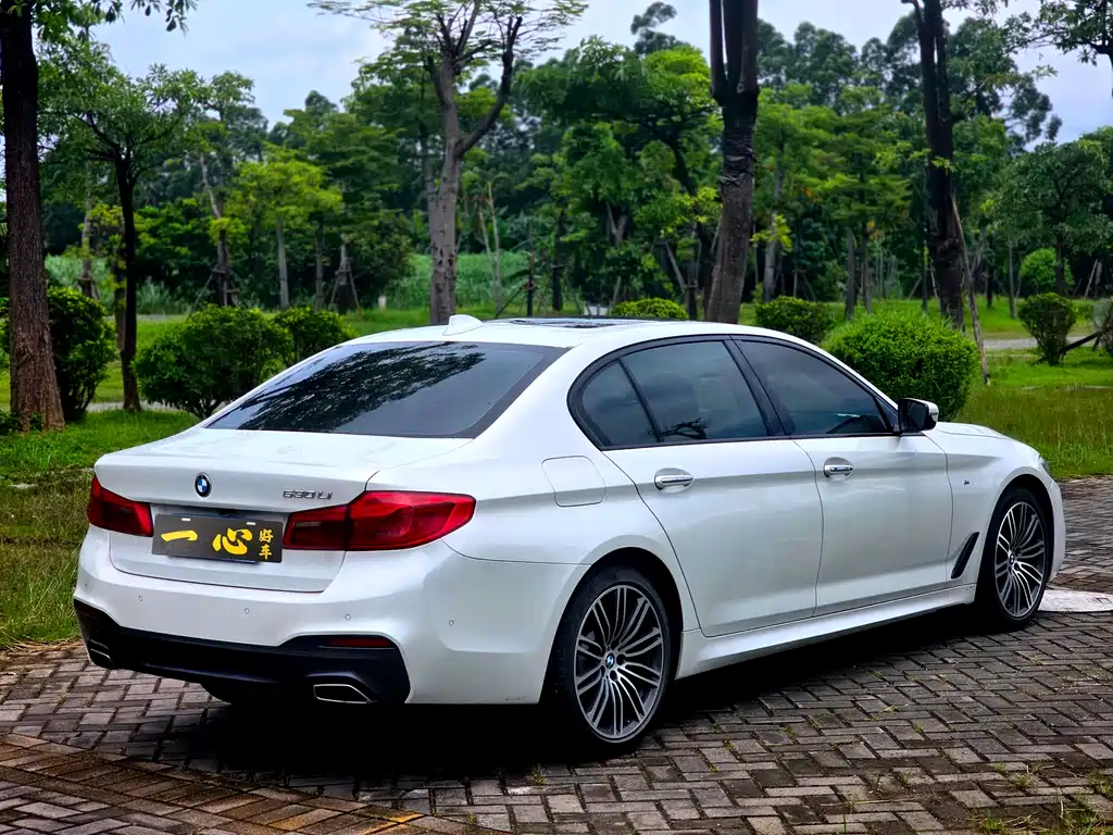 BMW 5 Series 5 2018 530Li Lead M Sport