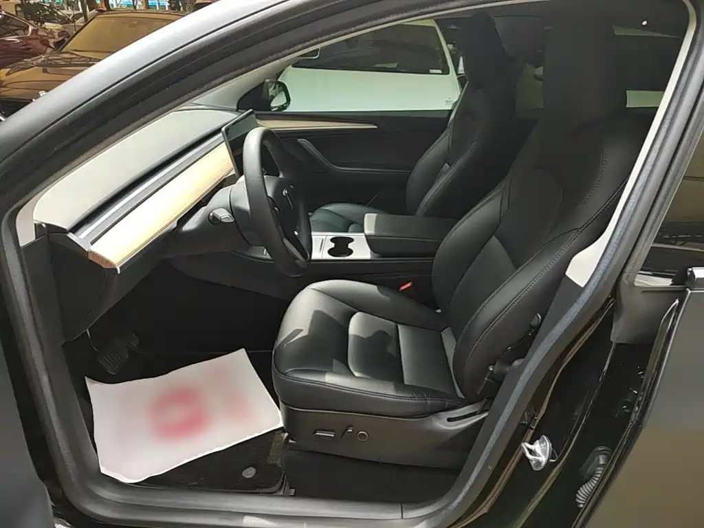 Tesla Model Y — миниатюра 15