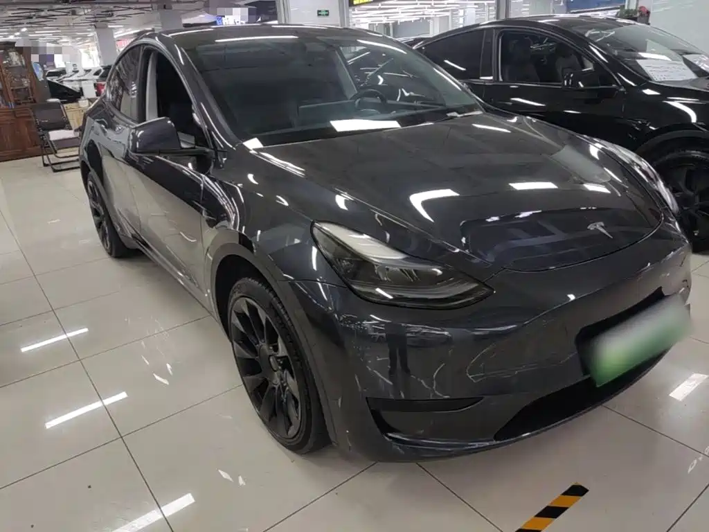 Tesla Model Y — миниатюра 4