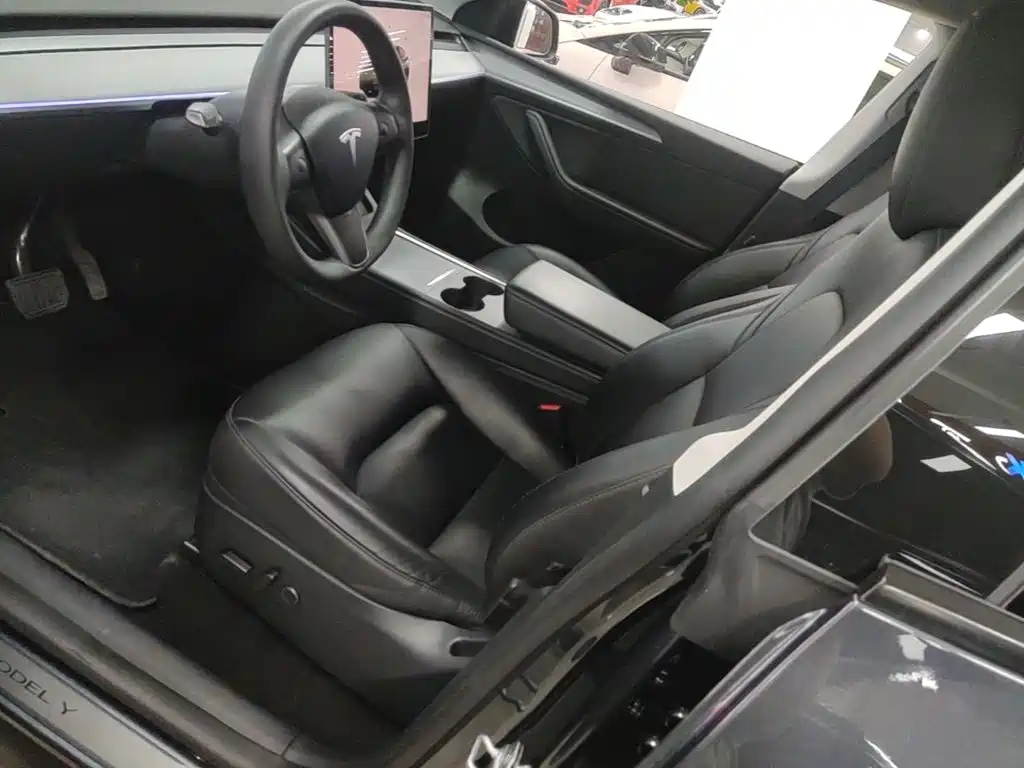 Tesla Model Y — миниатюра 15