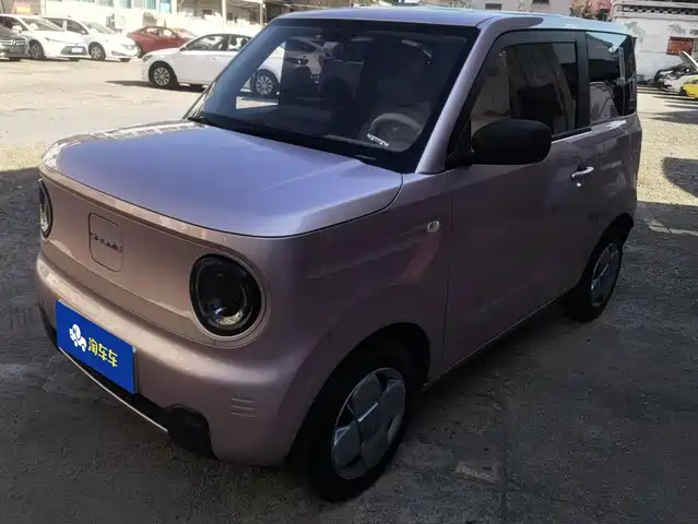 2024 Geely LC (Panda)