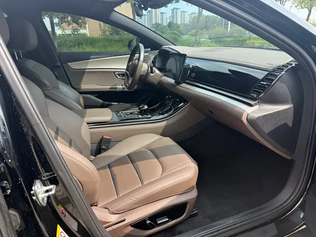 BYD e9 — миниатюра 6