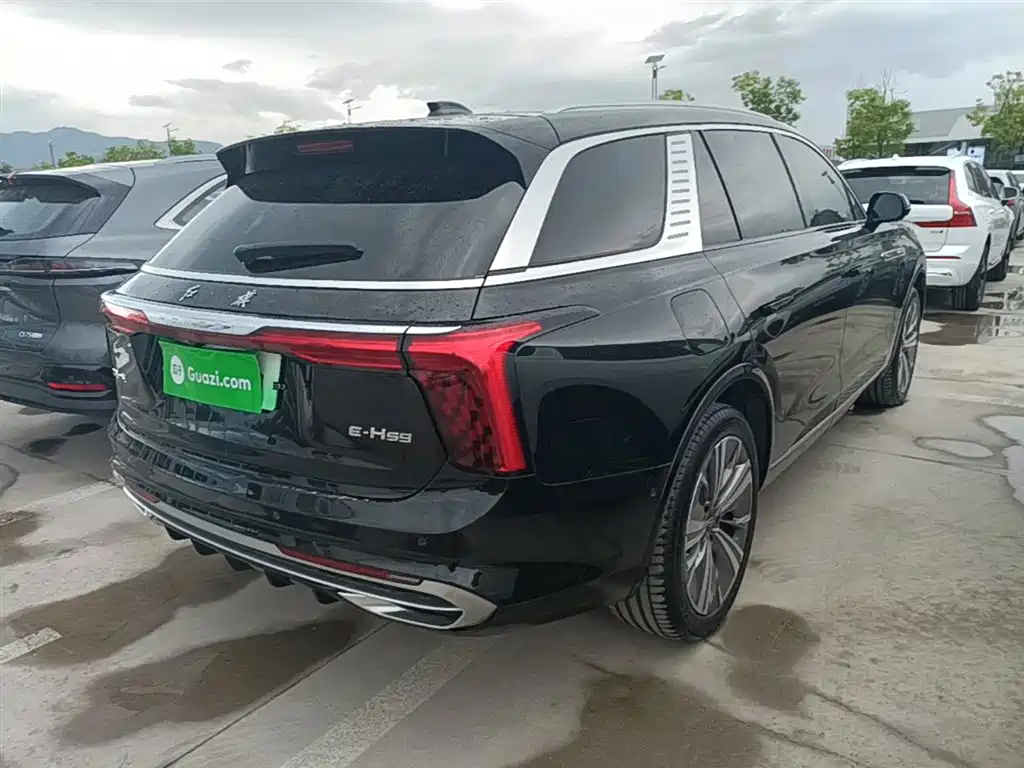 Hongqi E-HS9 2021 460km мест