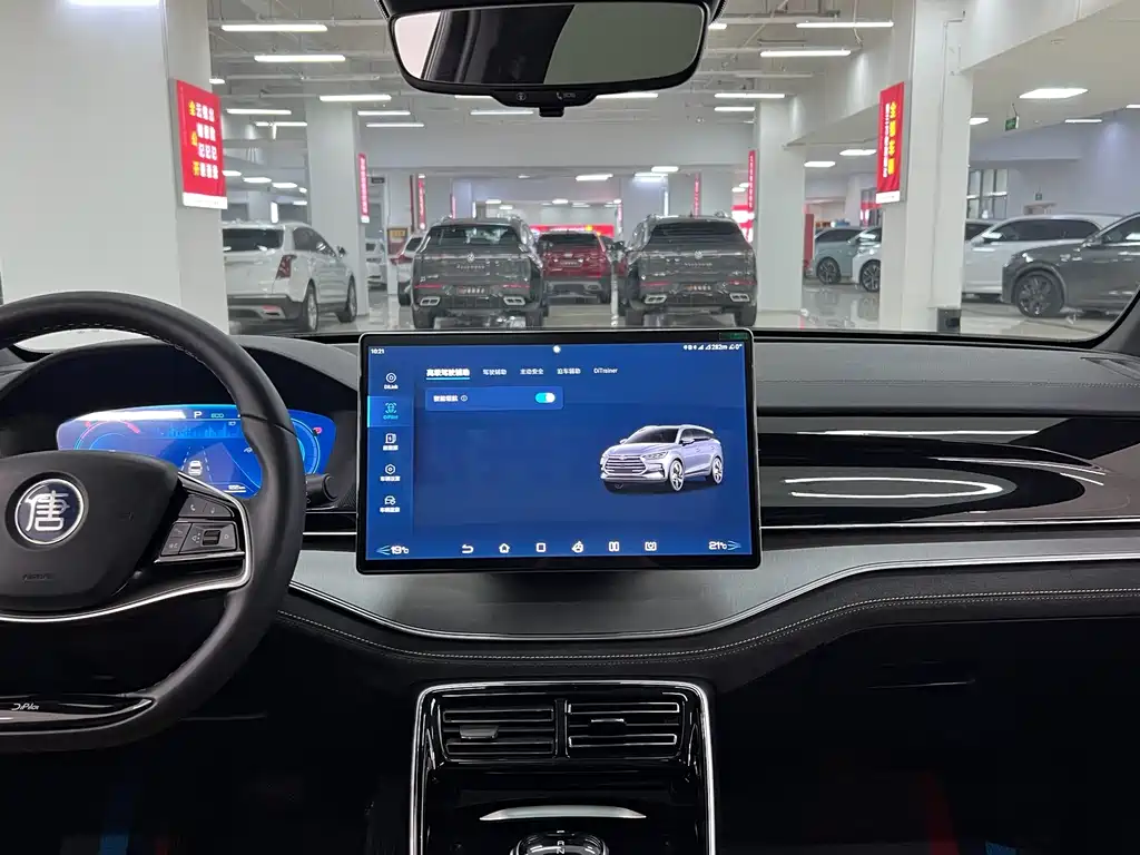 BYD Tang New Energy — миниатюра 11