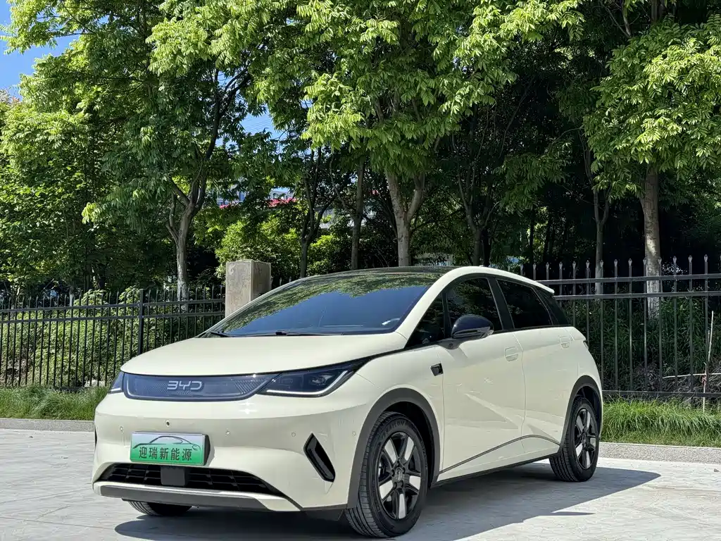 Byd Dolphin 2025