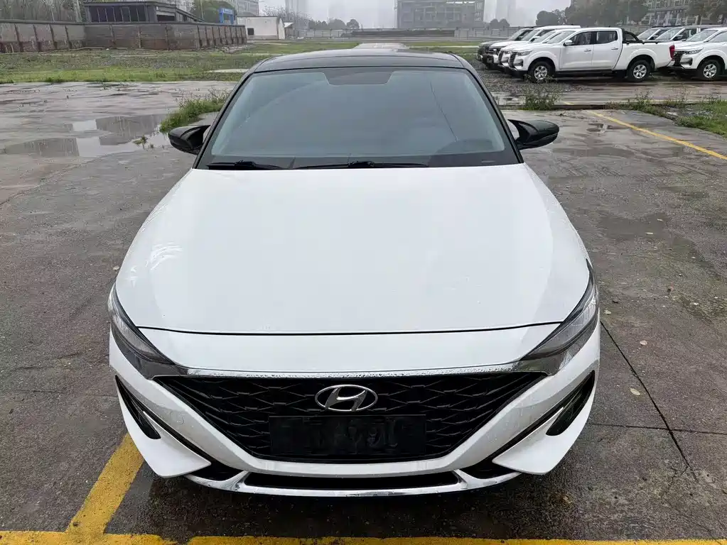 Hyundai Fista — миниатюра 2