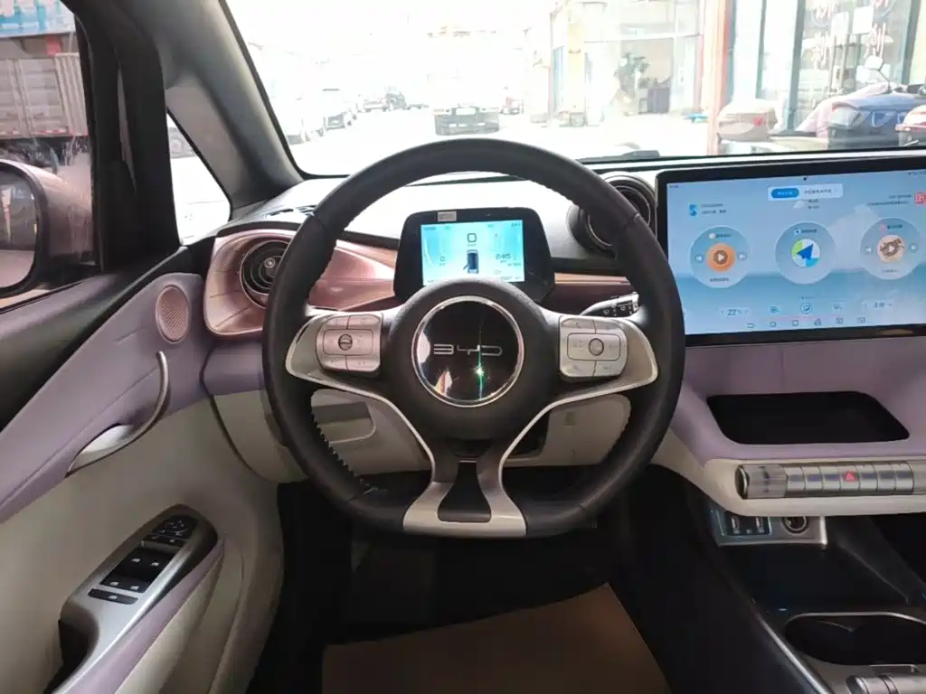 BYD Dolphin — миниатюра 11