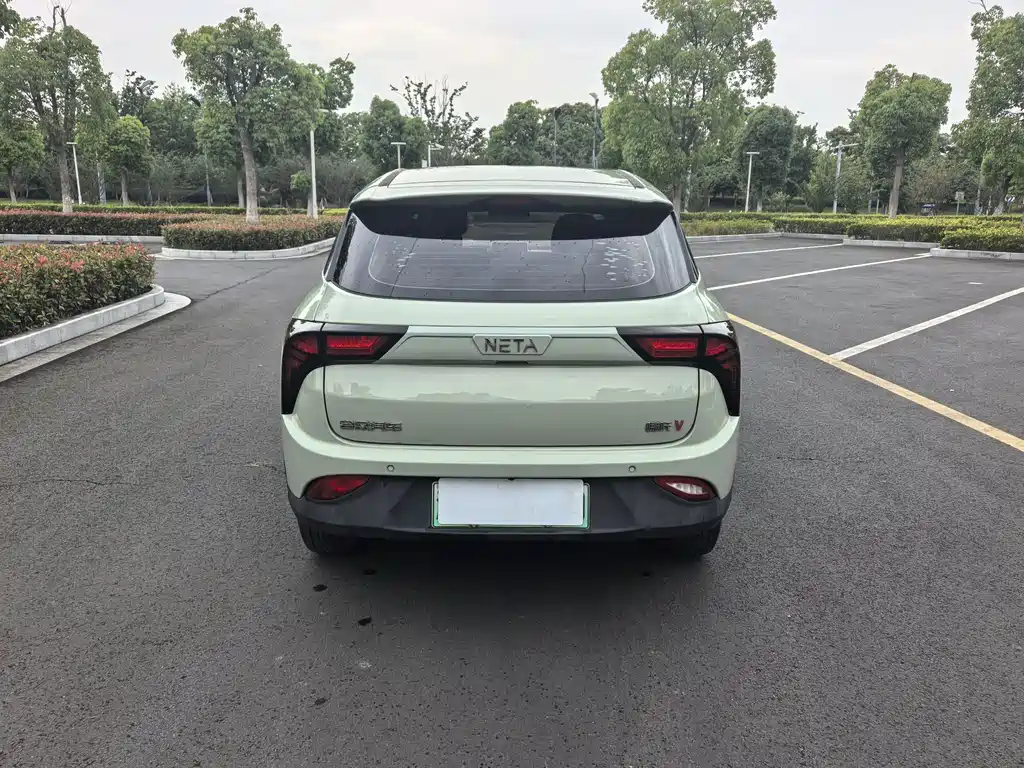 Neta V