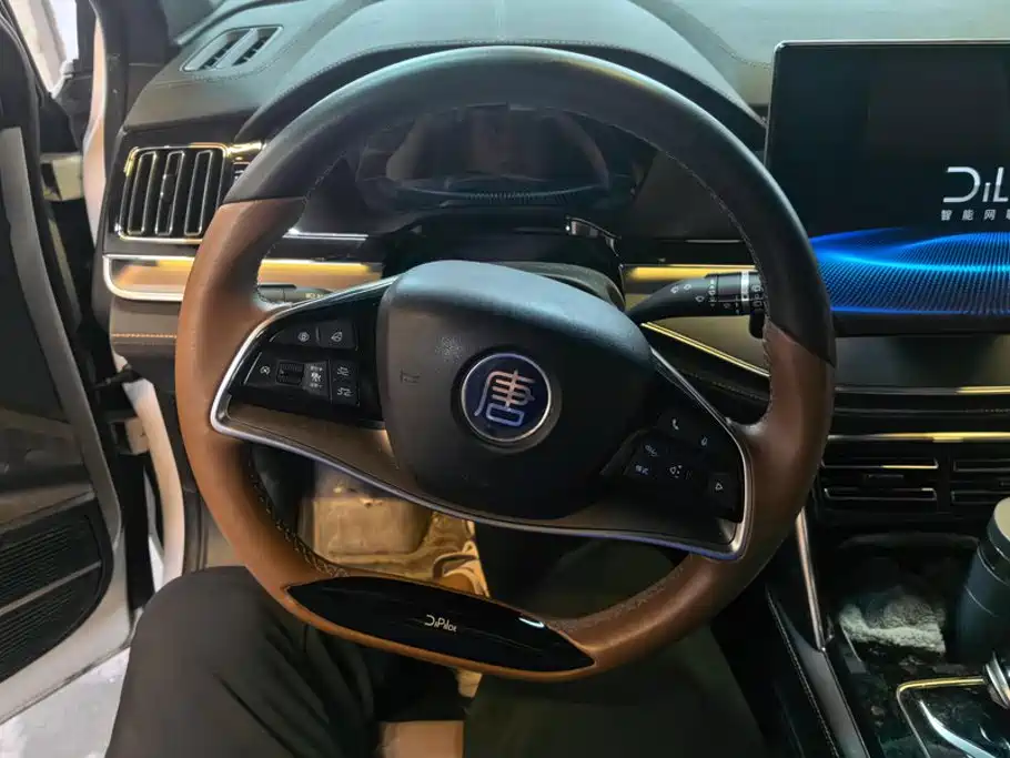 BYD Tang New Energy — миниатюра 15
