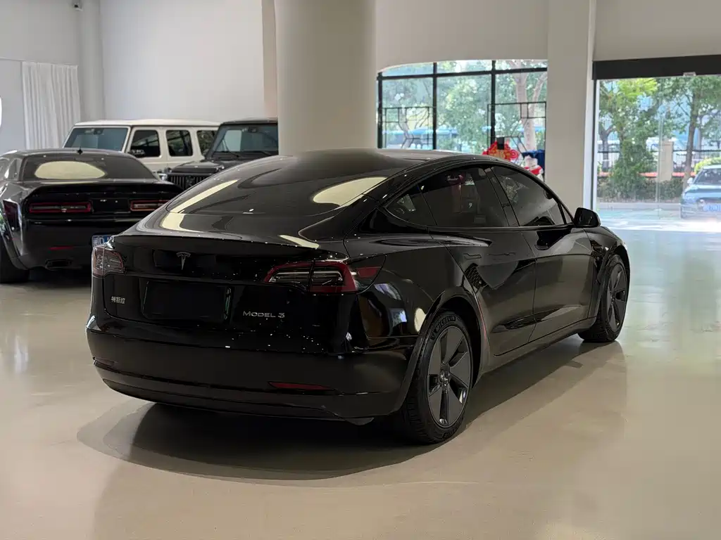 Tesla Model 3 — миниатюра 6