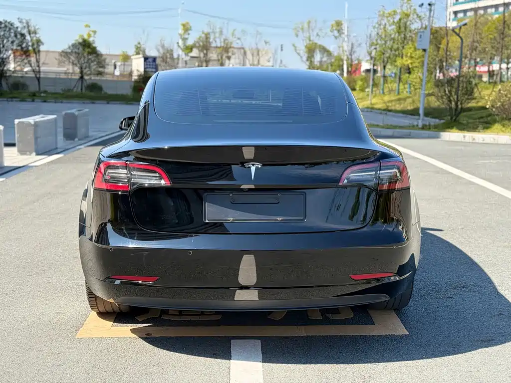 Tesla Model 3 — миниатюра 19