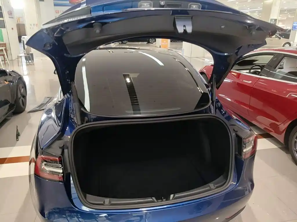 Tesla Model 3 — миниатюра 19