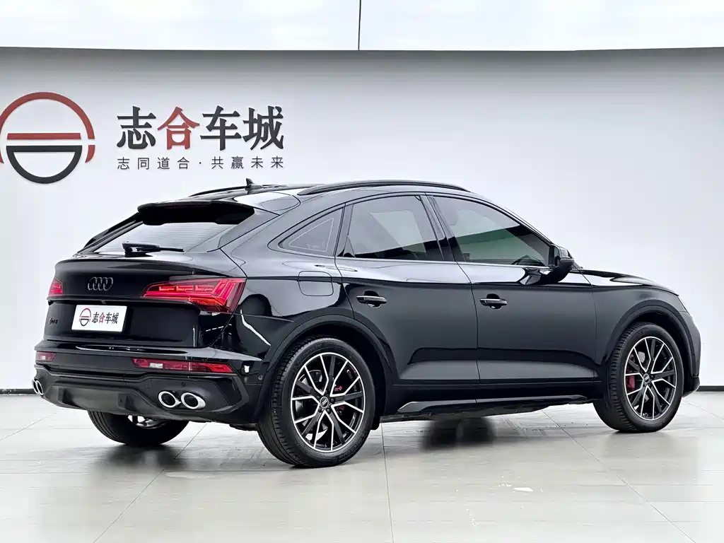Audi SQ5 — миниатюра 4