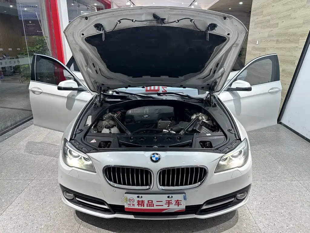 BMW 5 Series 5 2014 520i