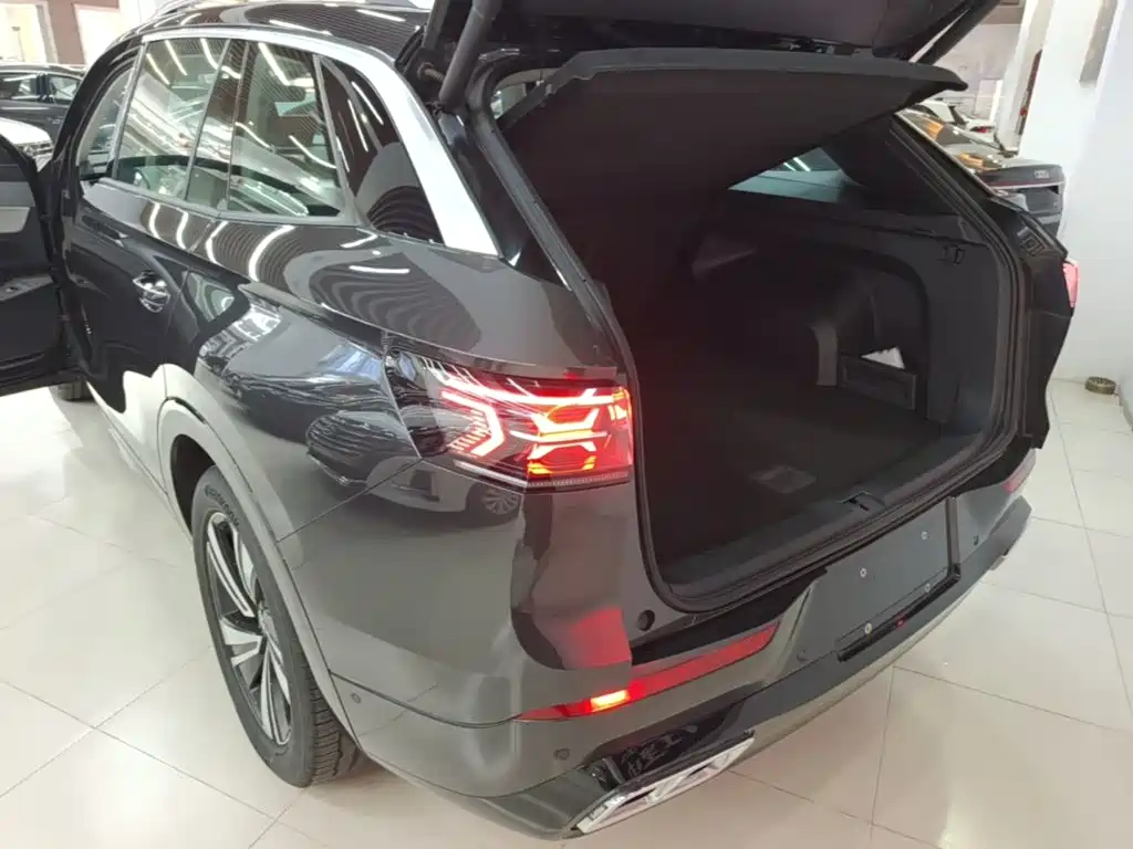 Volkswagen Tavendor — миниатюра 5
