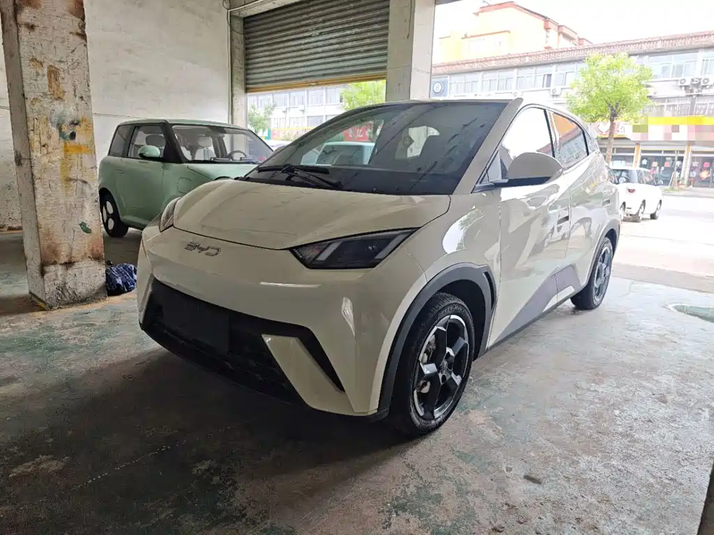 BYD Seagull 2024 305km Freedom