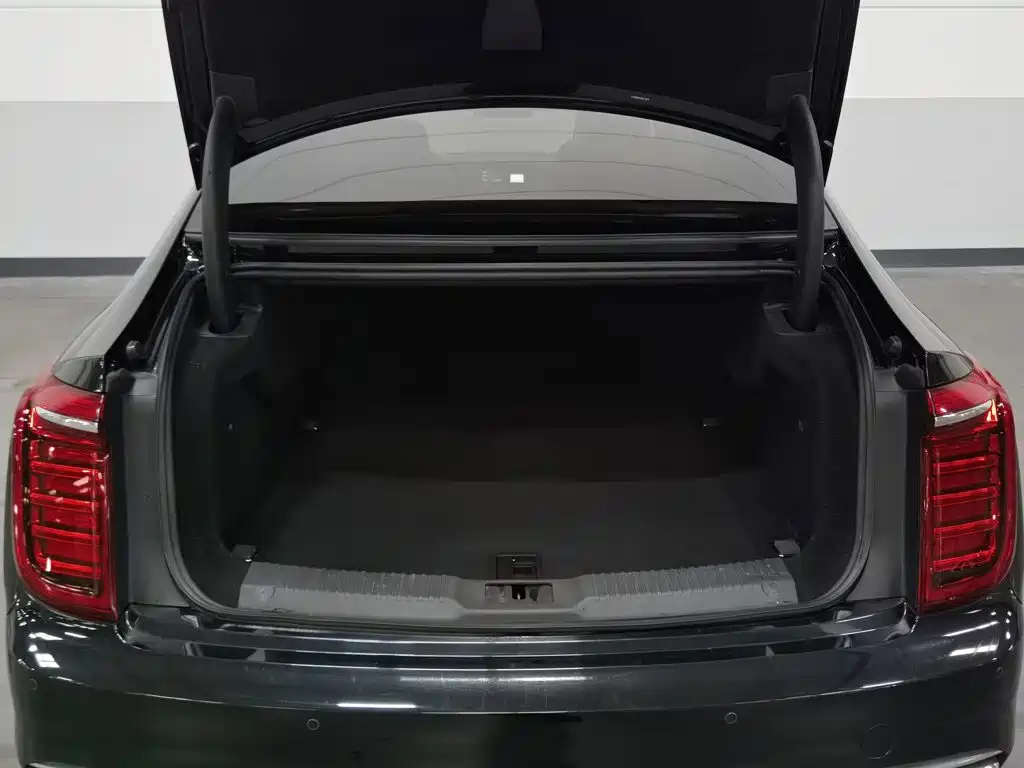Hongqi Hongqi H9 — миниатюра 16