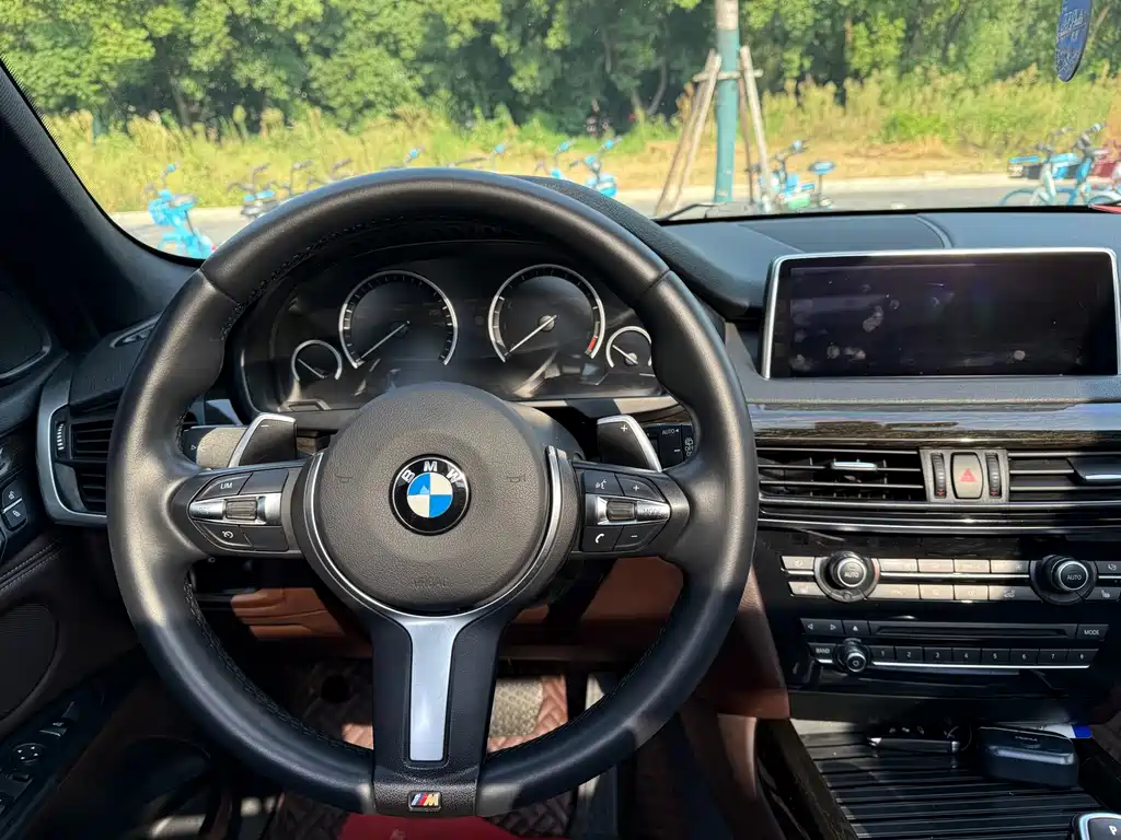 BMW X5 (Import) — миниатюра 14