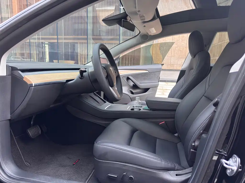 Tesla Model 3 — миниатюра 14