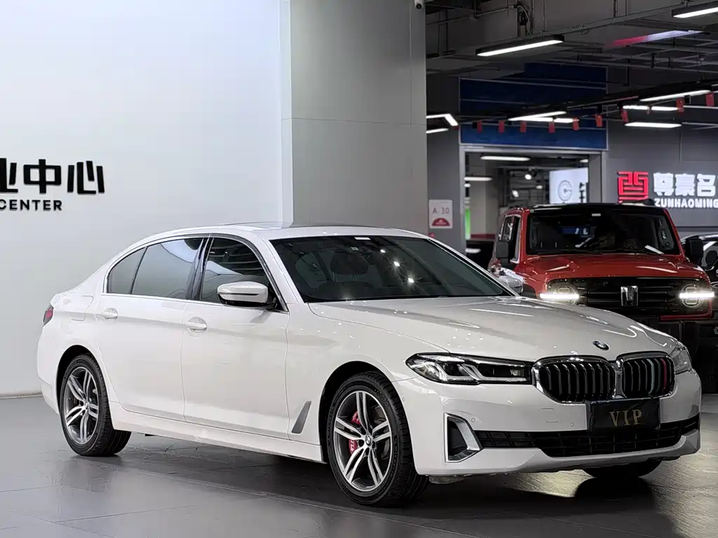 BMW 5 Series — миниатюра 3