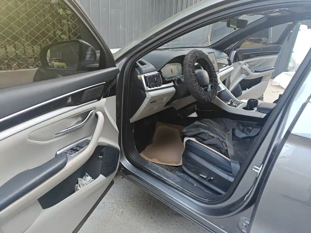 BYD PLUS New Energy — миниатюра 12