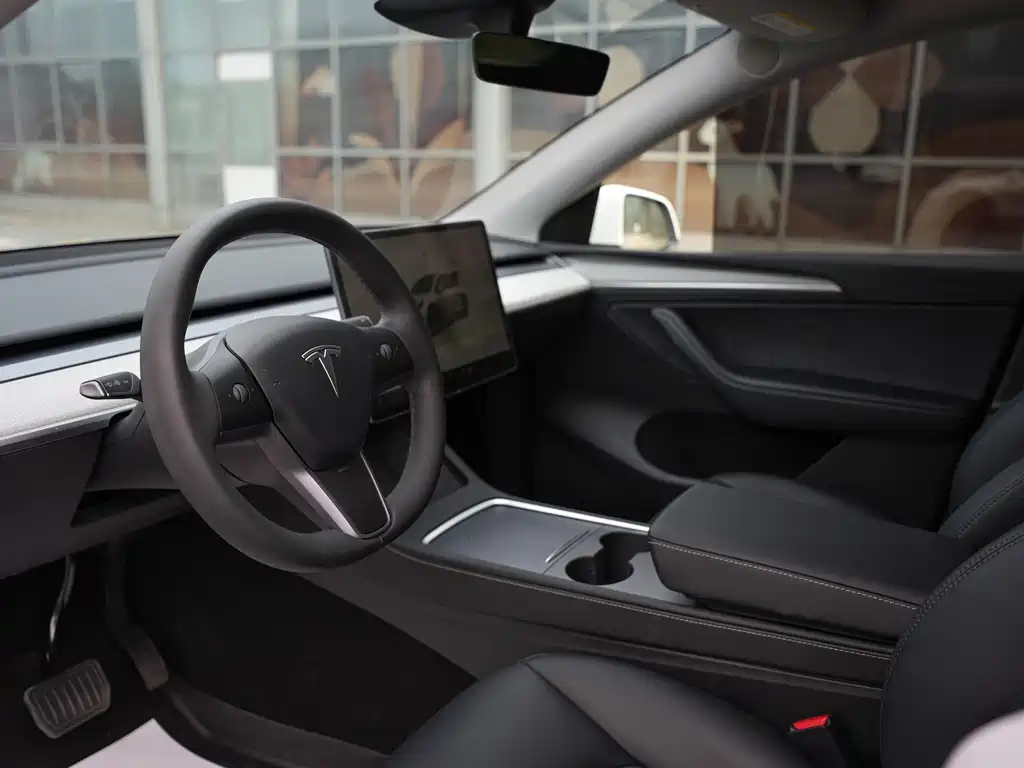 Tesla Model Y — миниатюра 14