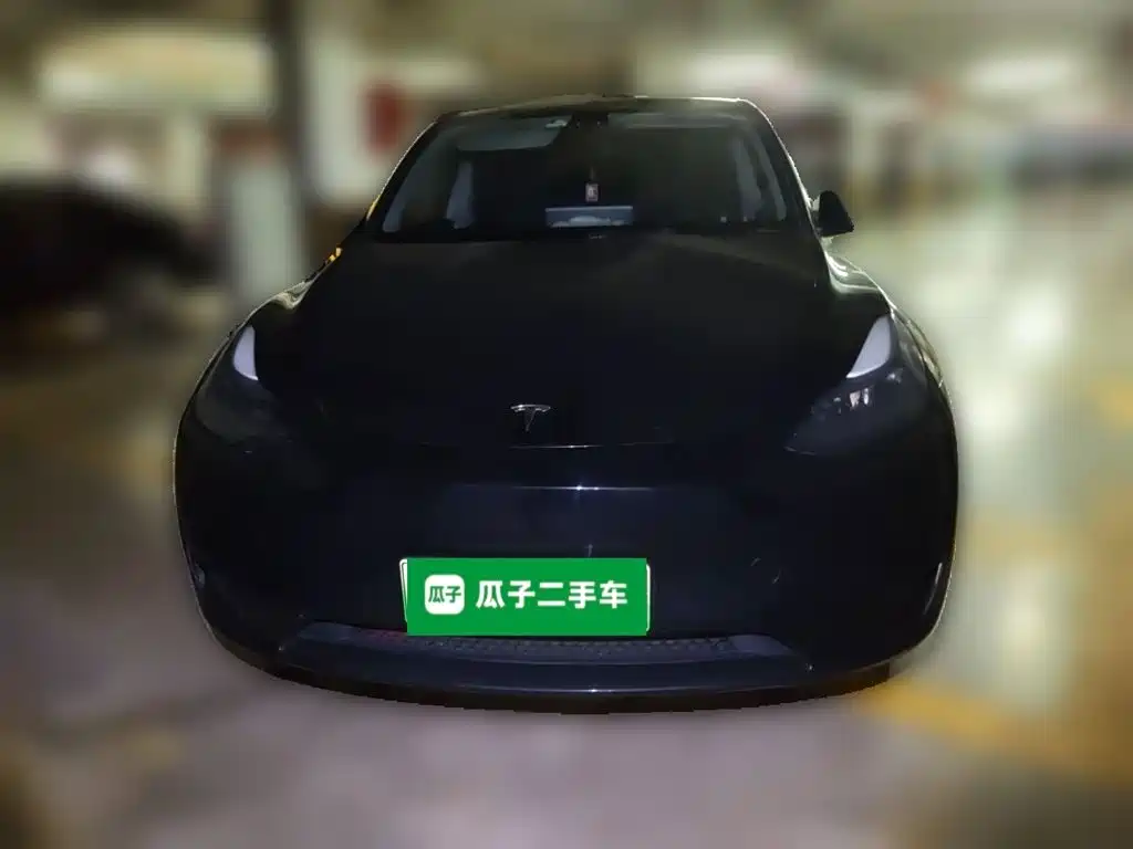 Tesla Model Y — миниатюра 23
