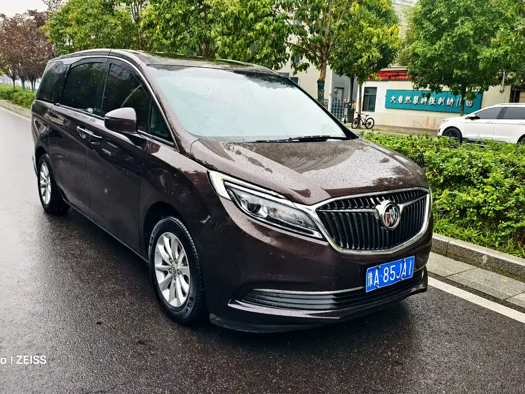 Buick GL8 — миниатюра 3