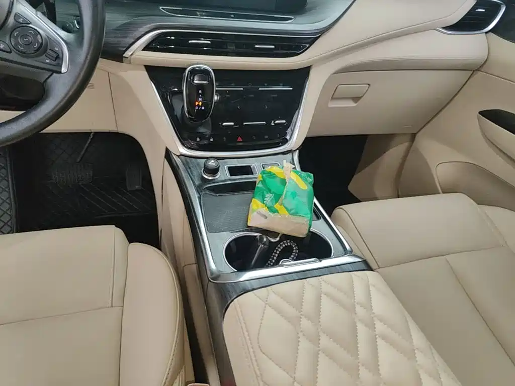 Buick GL8 — миниатюра 14
