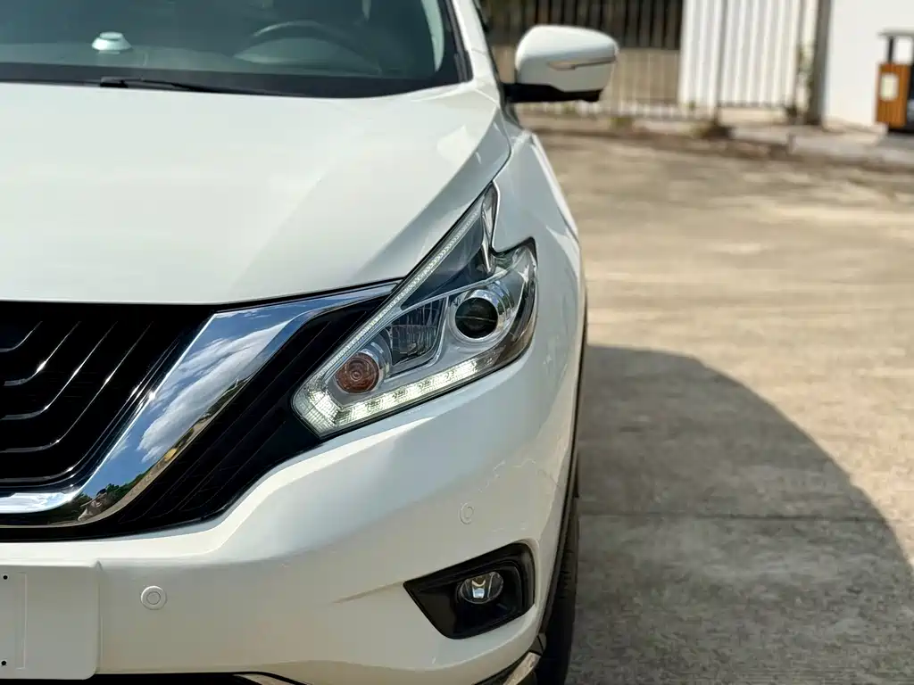 Nissan Murano 2019 2.5L XL Luxury VI