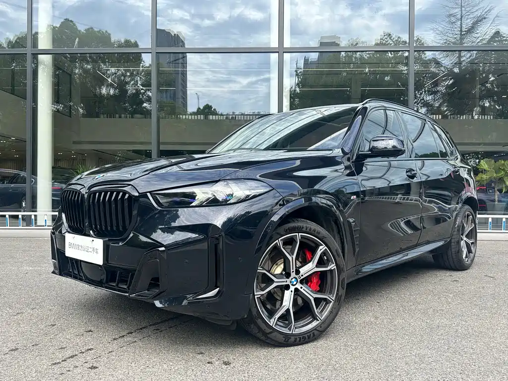 BMW X5 2025