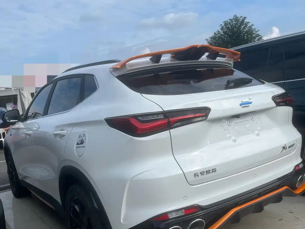 Oshan Oushang X5 — миниатюра 7