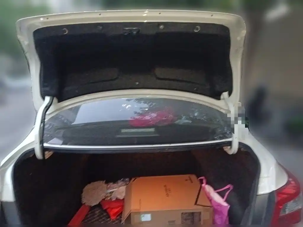 Nissan Sylphy — миниатюра 15