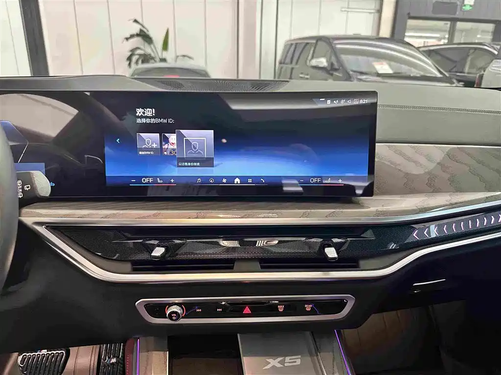 BMW X5 — миниатюра 10