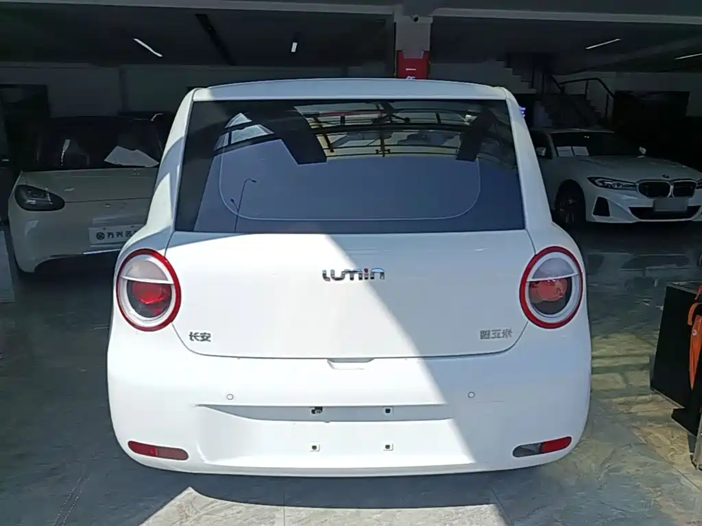 Qiyuan Lumin — миниатюра 6