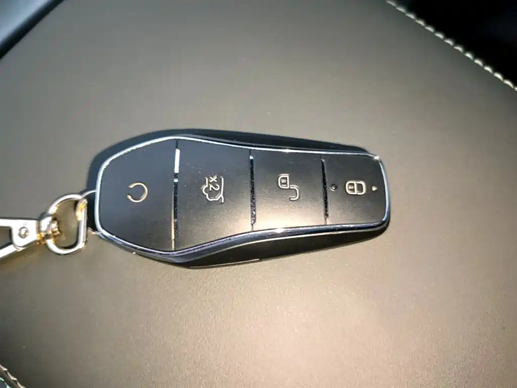 BYD Qin Plus PLUS 2025 DM-i Smart Drive 55KM Lead