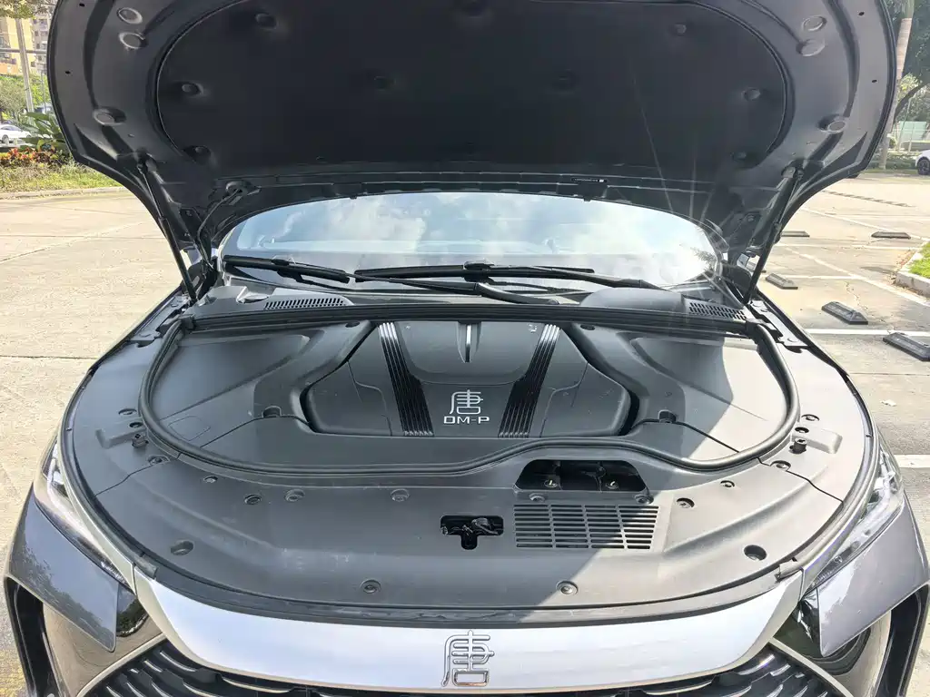 BYD Tang New Energy — миниатюра 18