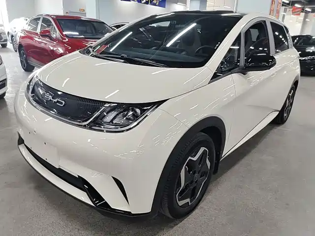 2023 BYD Dolphin