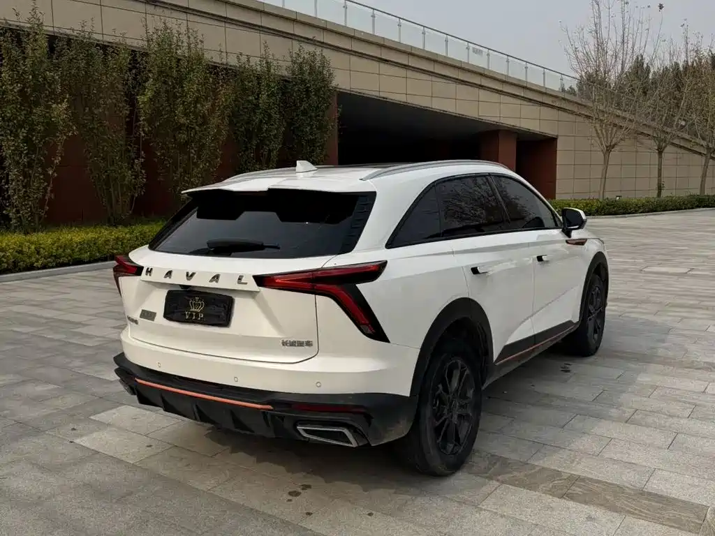 Haval Shenshou — миниатюра 4