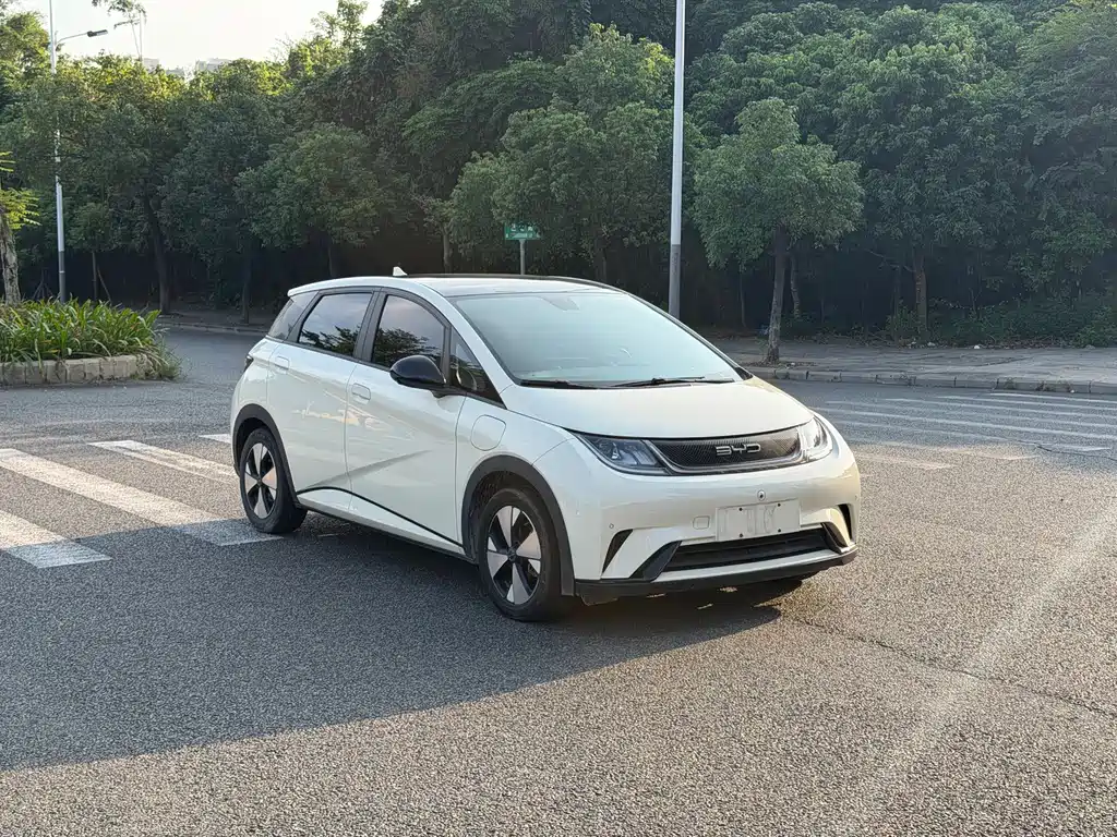 BYD Dolphin — миниатюра 3