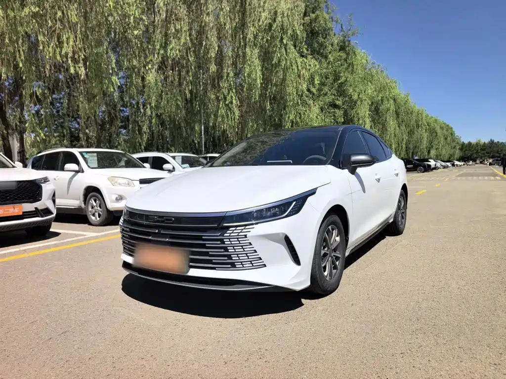 BYD Destroyer 05 2024 DM-i 55KM Luxury