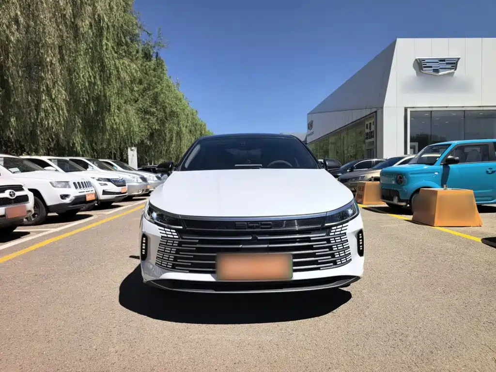 BYD Destroyer 05 2024 DM-i 55KM Luxury
