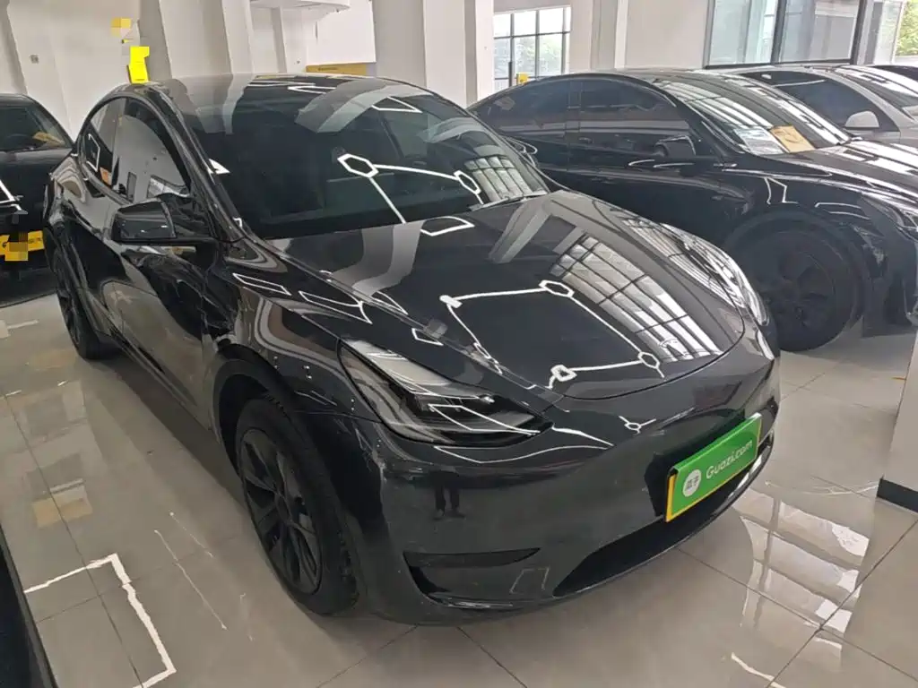Tesla Model Y — миниатюра 4