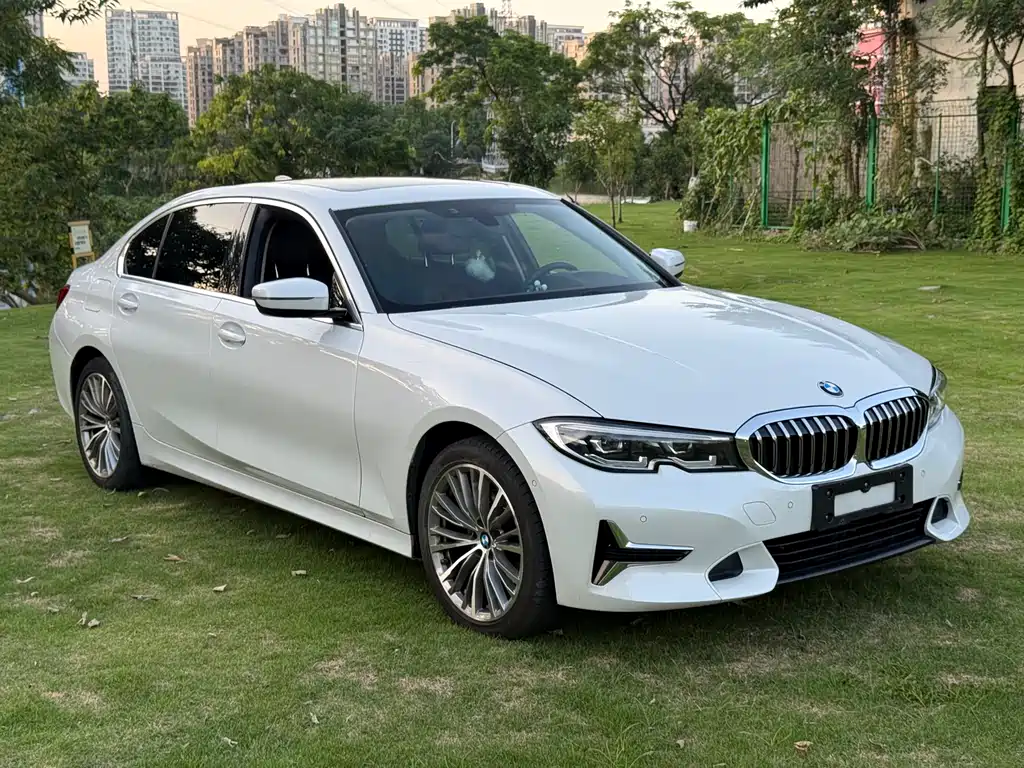 BMW 3 Series 3 2020 325Li