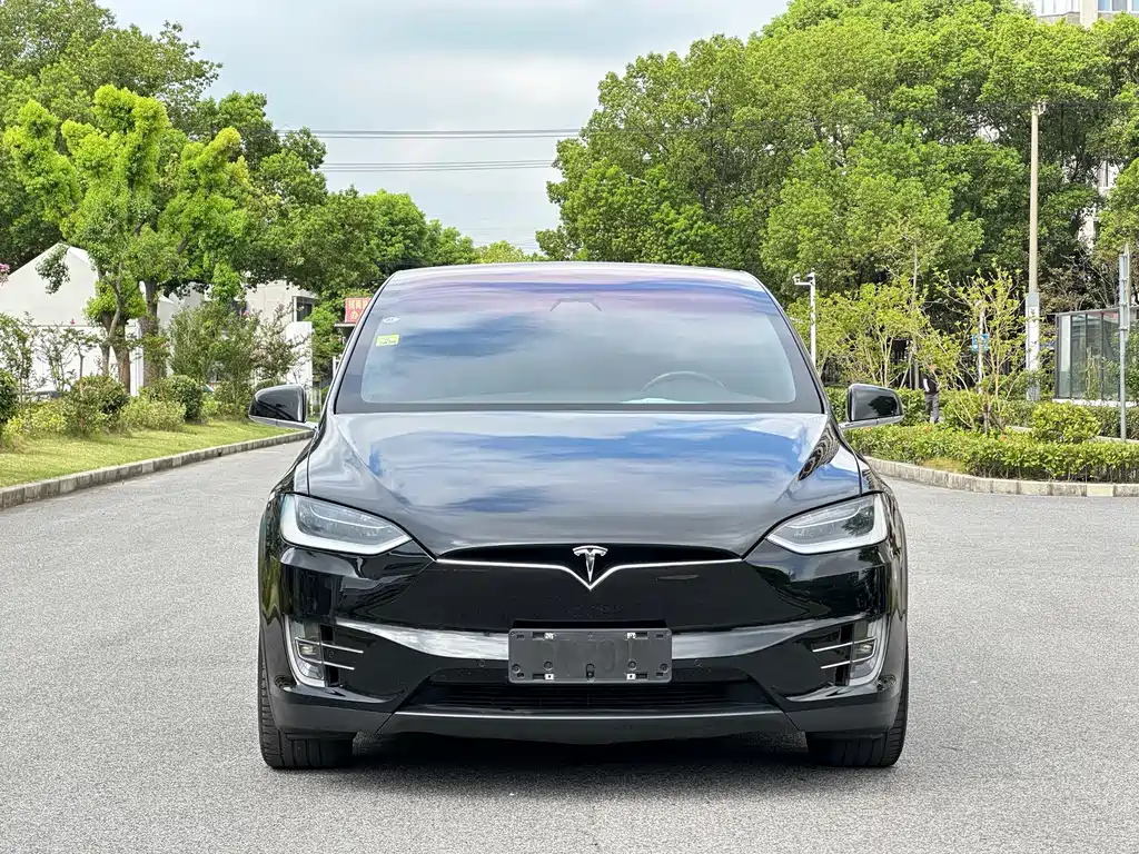 Tesla Model X — миниатюра 2